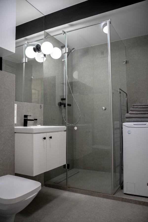 Apartament W Srodmiesciu Odnowa *