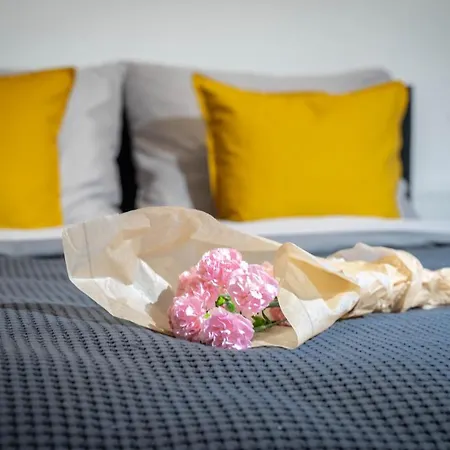 Apartament W Srodmiesciu Odnowa Wrocław Zewnętrze zdjęcie